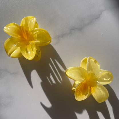 Mini Gancho de Flor para el cabello (2 unidades)